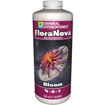 GHE Flora Nova Bloom