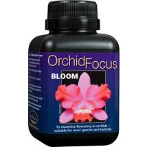 Orchid Focus Bloom