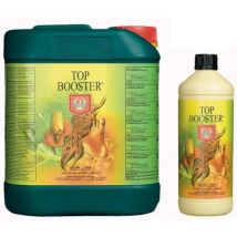 House & Garden Top Booster