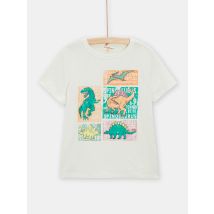T-shirt vert clair animation dinosaures pour garçon - 5A - Du Pareil Au Même