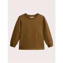 T-shirt Kaki Pour - Garçon - 6 ans - Du Pareil Au Même