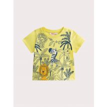 T-shirt Safari Pour pour Bébé - Garçon - 24 mois - Du Pareil Au Même