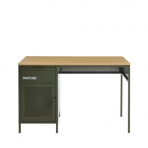 Bureau 1 porte 1 tiroir en métal PANTONE L120cm - Nino - Couleur - Vert kaki - Aluminium - Style Industriel