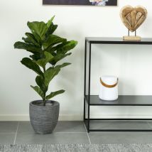 House Nordic - Plante artificielle H100 cm - Vert - FIDDLE LEAF TREE - Plastique - Style Bohème