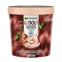 Good 5.5 Castaño Cereza