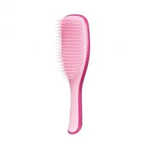 Detangling Rosa