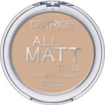 All Matt Plus Shine Control Powder 030