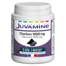 Juvamine Carbón vegetal 1000 mg 120 cápsulas - Easypara