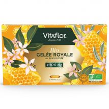 Vitaflor Gel Real Bio 4000mg 10 ampollas - Easypara