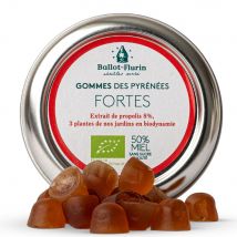 Ballot-Flurin Gomas de Mascar Pirenaicas Bio 30g - Easypara
