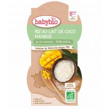 Babybio Arroz con leche de coco y mango a partir de 8 meses 225g - Easypara