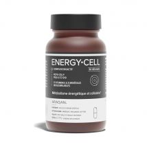 Aragan Synactifs Energycell Tonicidad y vitalidad 50 cápsulas - Easypara