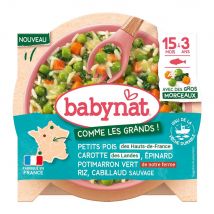 Babybio Babynat Repas Instantané Dès 15 Mois 200g - Easypara
