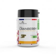 Flora Natura Arándanos Bio 45 cápsulas - Easypara