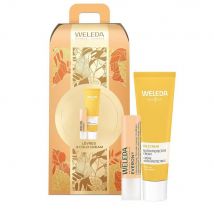 Weleda Coffret Everon - Easypara