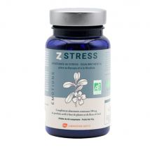 Mint-E Z Stress 60 gélules - Easypara
