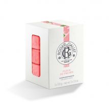Roger & Gallet Fleur De Figuier Cofre jabón bienestar base vegetal 100g - Easypara