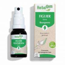 Herbalgem Yemas Espray de higuera Bio 15 ml - Easypara