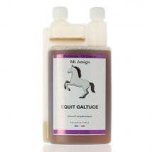 Mi Amigo Equit Gastulce 1L - Easypara