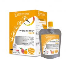 Effinov Nutrition Hydraminov Gel+ Sport x3 bottiglie - Fatto in Francia - Easypara
