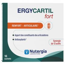 Nutergia Forte Ergycartil Rinforzo del giunto 16 Bustine - Fatto in Francia - Easypara