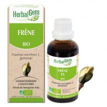 Herbalgem Bourgeons Ritenzione Circolazione Organica Cenere 30ml - Easypara