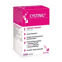 Ineldea Santé Naturelle Cystinil Confort Urinaire 90 Gelules - Easypara