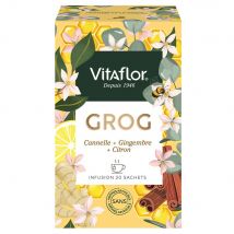 Vitaflor Infuso rinvigorente di Grog 20 borse - Easypara