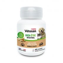 Clement-Thekan Vétosan Anti-vermi Cane e Gatto 60 compresse - Easypara