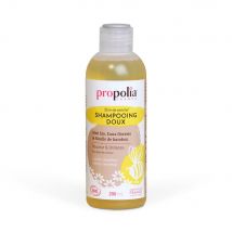 Propolia Etre De Meche Shampoo Biologico Delicato 200 ml - Easypara
