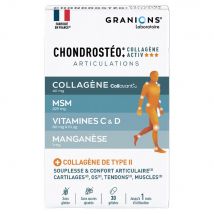 Granions Articolazioni Condrosteo+ Collagene Attivo 30 Geluli - Easypara