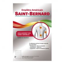 Saint-Bernard Gesso americano x1 - Easypara
