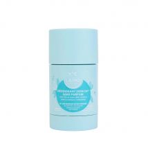 Laino Deodorante in stick Solidea 60g - Fatto in Francia - Easypara