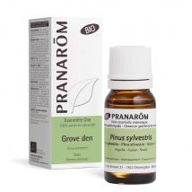 Pranarôm Oli Essenziali Olio essenziale bio pino silvestre 10 ml - Easypara