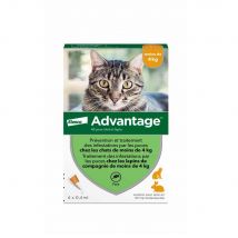 Advantage 40 Soluzione Spot-on per Gatti e Conigli di peso inferiore ai 4kg 4 kg - Easypara