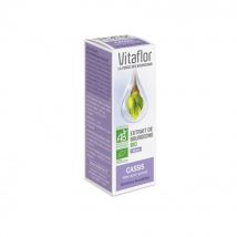 Vitaflor Estratto di gemme di ribes nero biologico 15ml - Easypara