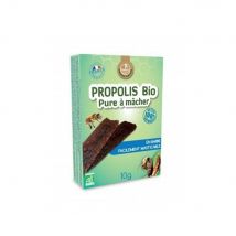Propos'Nature Propolis Pure Bio A Macher 10g - Easypara