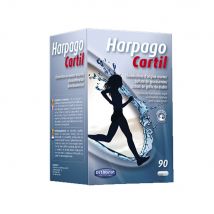 Orthonat Harpago Cartil 90 Gelule - Easypara