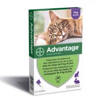 Advantage 80 Gatti e Conigli di Grande taglia Peso superiore ai 4kg 6x0.8ml - Easypara