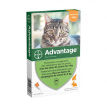 Advantage 40 Soluzione Spot-on per Gatti e Conigli di peso inferiore ai 4kg 4 kg - Easypara