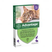 Advantage Soluzione Spot-on per Gatti e Conigli di peso superiore ai 4kg 4x0.8ml - Easypara