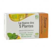 Nutrigée Tisana di 5 piante biologiche X20 - Easypara