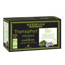 Herbesan Infuso di Transifit con 6 piante Bio x20 bustine - Easypara
