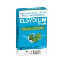 Elgydium Fresh Pocket 12 compresse - Easypara