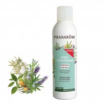 Pranarôm Aromaforce Ravintsara - Spray Purificante Biologico all'Albero del Tè 400 ml - Easypara