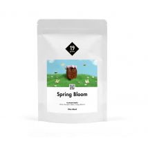 19grams - Spring Bloom Filterkaffee - 250 g Ganze Bohne - Intensität: 2/6