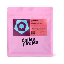 Coffee Pirates – Indonesien Sumatra Asman Gayo Mill Filterkaffee - 250 g Ganze Bohne - Intensität: 3/6