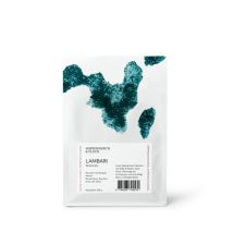 Hoppenworth & Ploch - Lambari Espresso - 250 g Ganze Bohne - Intensität: 4/6