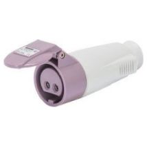 GW62064  - Kupplungsdose IP44 2P 16A 24V S.R., GW62064 - Aktionsartikel