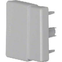 LFF 60066 gr  - Endplatte LFF 60066 gr